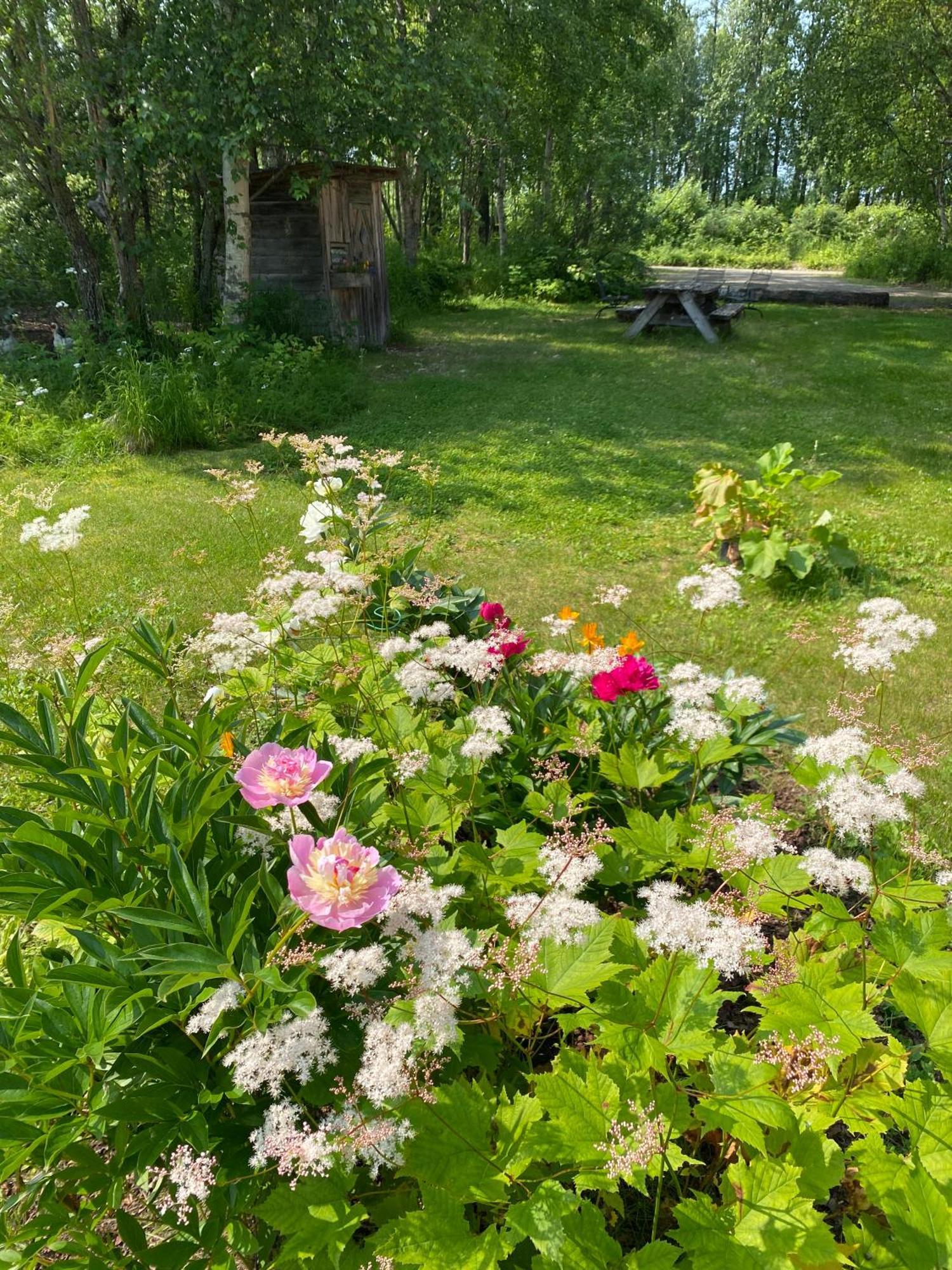 Trapper John'S Cabin & Cottages Talkeetna Exterior foto