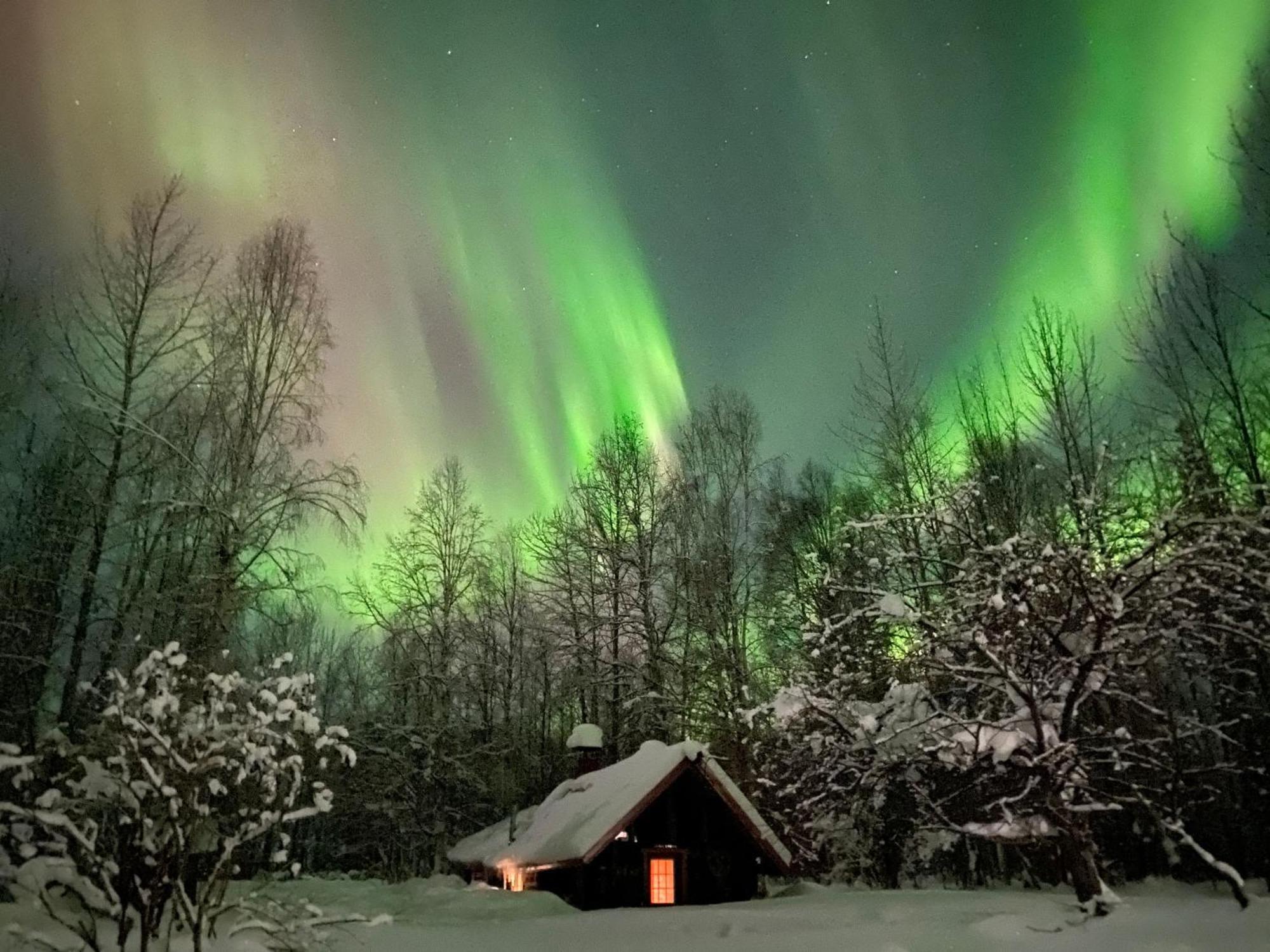 Trapper John'S Cabin & Cottages Talkeetna Exterior foto