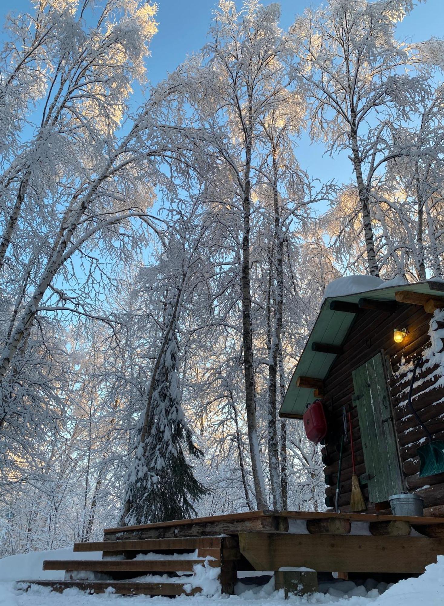 Trapper John'S Cabin & Cottages Talkeetna Exterior foto